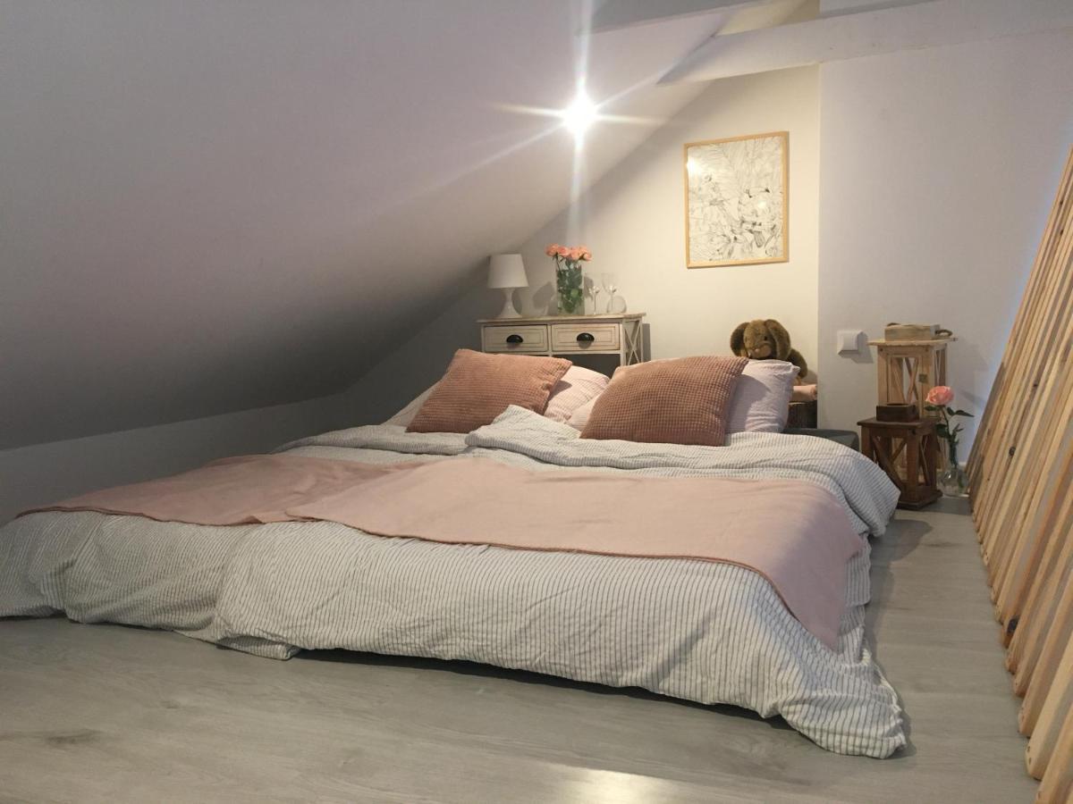 Apartament Z Antresola Okszow Экстерьер фото